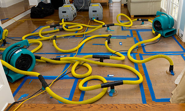 Professional Crawl Space Water Removal technician working in Altamahaw, NC